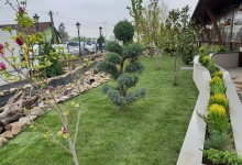 Rulouri Gazon Buzias Rulouri Gazon Amenajari Buzias Flower Garden Design