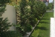 Rulouri Gazon Buzias Rulouri Gazon Amenajari Buzias Flower Garden Design