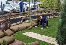 Rulouri Gazon Buzias Rulouri Gazon Amenajari Buzias Flower Garden Design