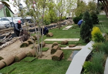 Rulouri Gazon Buzias Rulouri Gazon Amenajari Buzias Flower Garden Design