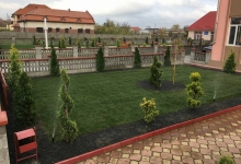 Rulouri Gazon Buzias Rulouri Gazon Amenajari Buzias Flower Garden Design