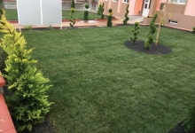 Rulouri Gazon Buzias Rulouri Gazon Amenajari Buzias Flower Garden Design