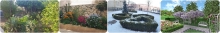 Rulouri Gazon Craiova Rulouri Gazon Amenajari Craiova GARDENS & LANDSCAPE ARCHITECTURE SRL