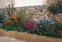 Rulouri Gazon Craiova Rulouri Gazon Amenajari Craiova GARDENS & LANDSCAPE ARCHITECTURE SRL