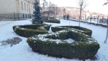 Rulouri Gazon Craiova Rulouri Gazon Amenajari Craiova GARDENS & LANDSCAPE ARCHITECTURE SRL