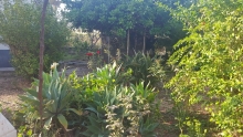 Rulouri Gazon Craiova Rulouri Gazon Amenajari Craiova GARDENS & LANDSCAPE ARCHITECTURE SRL