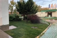 Rulouri Gazon Targoviste Rulouri Gazon Amenajari Gradini Targoviste ART GARDEN