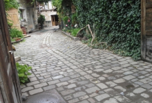 Rulouri Gazon Baia Mare Rulouri Gazon Amenajari Baia Mare Peisaj XXI SRL