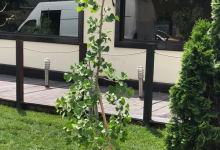 Rulouri Gazon Eforie Sud Amenajari Rulouri Gazon Gradini Eforie Sud - ADD.GREEN EXCLUSIVE