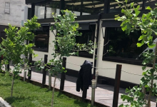 Rulouri Gazon Navodari Amenajari Rulouri Gazon Gradini Navodari - ADD.GREEN EXCLUSIVE