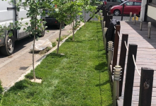 Rulouri Gazon Eforie Sud Amenajari Rulouri Gazon Gradini Eforie Sud - ADD.GREEN EXCLUSIVE