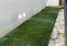 Rulouri Gazon Negru Voda Amenajari Rulouri Gazon Gradini Negru Voda - ADD.GREEN EXCLUSIVE