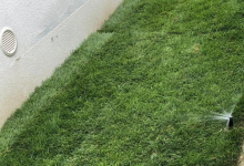 Rulouri Gazon Harsova Amenajari Rulouri Gazon Gradini Harsova - ADD.GREEN EXCLUSIVE