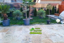 Rulouri Gazon Clinceni Rulouri Gazon Amenajari Gradina Clinceni - WOW GARDEN