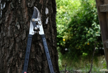 Rulouri Gazon Clinceni Rulouri Gazon Amenajari Gradina Clinceni - WOW GARDEN