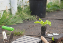 Rulouri Gazon Balotesti Rulouri Gazon Amenajari Gradina Balotesti - WOW GARDEN